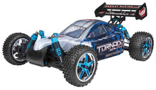 Load image into Gallery viewer, RedCat Tornado Exp Pro 1/10 Brushless Buggy - Blue/Silver - Toy Centre
